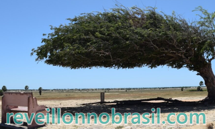 Réveillon em Luís Correia no litoral piauiense - reveillonnobrasil.com - Foto PMLC