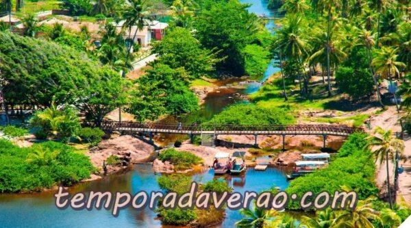 Mata de São João Réveillon 2023 : Praia do Forte e Imbassaí terá DJ's e queima de fogos na virada de ano